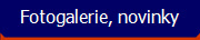 Fotogalerie, novinky